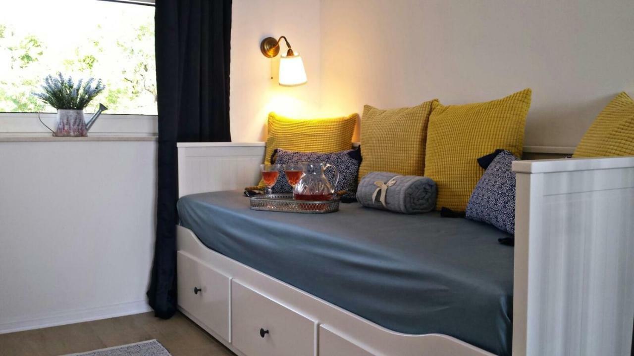 Apartment Iva نوفي فينودولسكي المظهر الخارجي الصورة